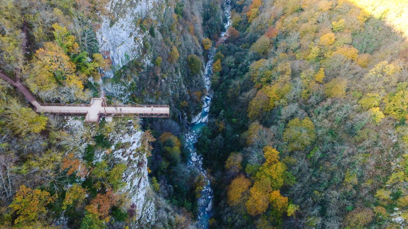 A suspended walkway bridge spanning the deep Okatse Canyon surrounded by autumn-colored forest in western Georgia