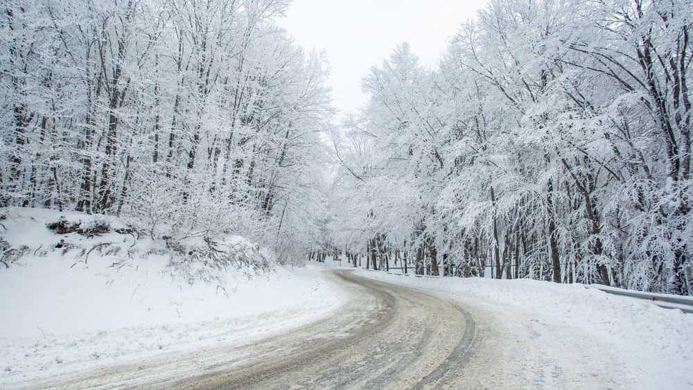 A curving mountain road winds through a dense snow-covered forest with tire tracks marking the way through the winter landscape
