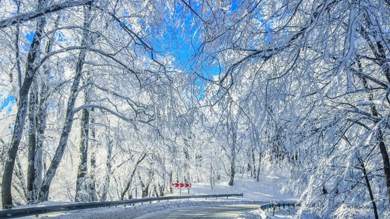 A winding road passes beneath a canopy of frost-covered trees with a red road sign visible against the white winter landscape