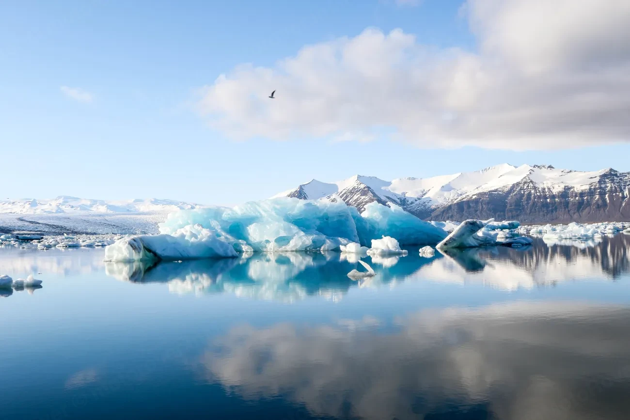 Blue icebergs floating in a calm glacier lagoon with snowy mountains behind