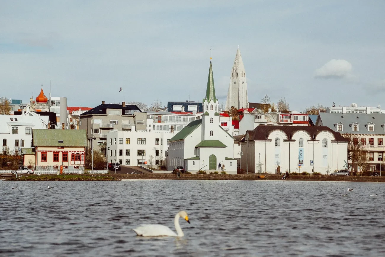 Colourful houses and church spires along the lakefront in Reykjavík, with a swan on the water