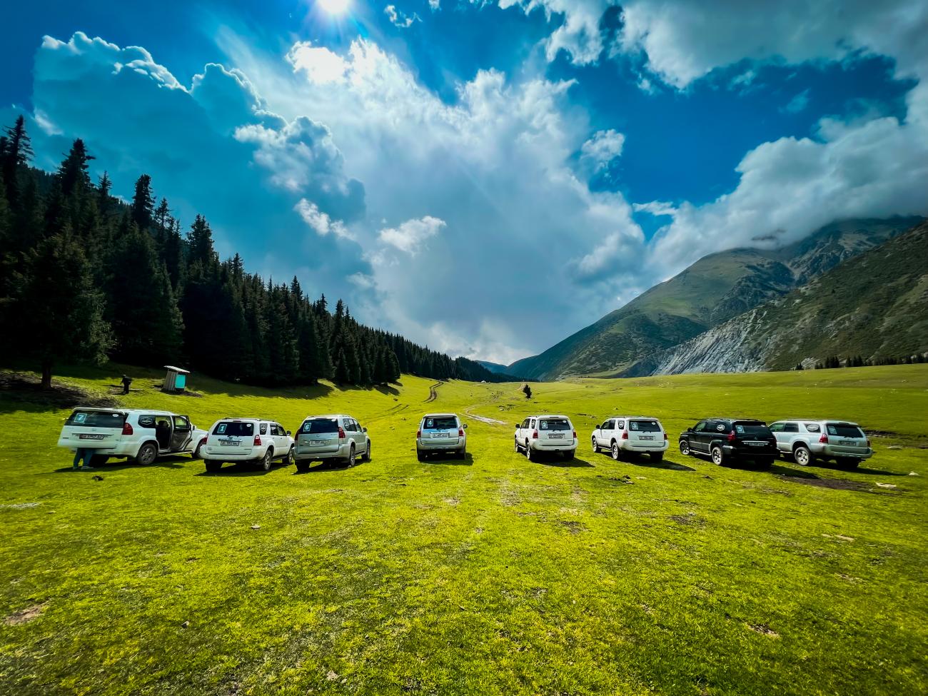 SUV fleet on alpine meadow with pine forest Kyrgyzstan