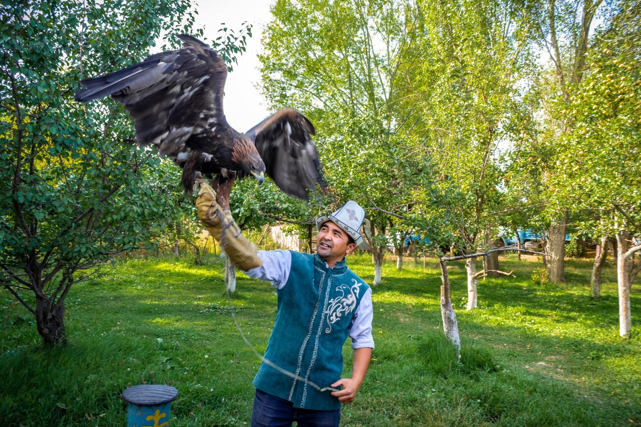 A Kyrgyz man in traditional attire holds a large eagle on his arm during a falconry demonstration.