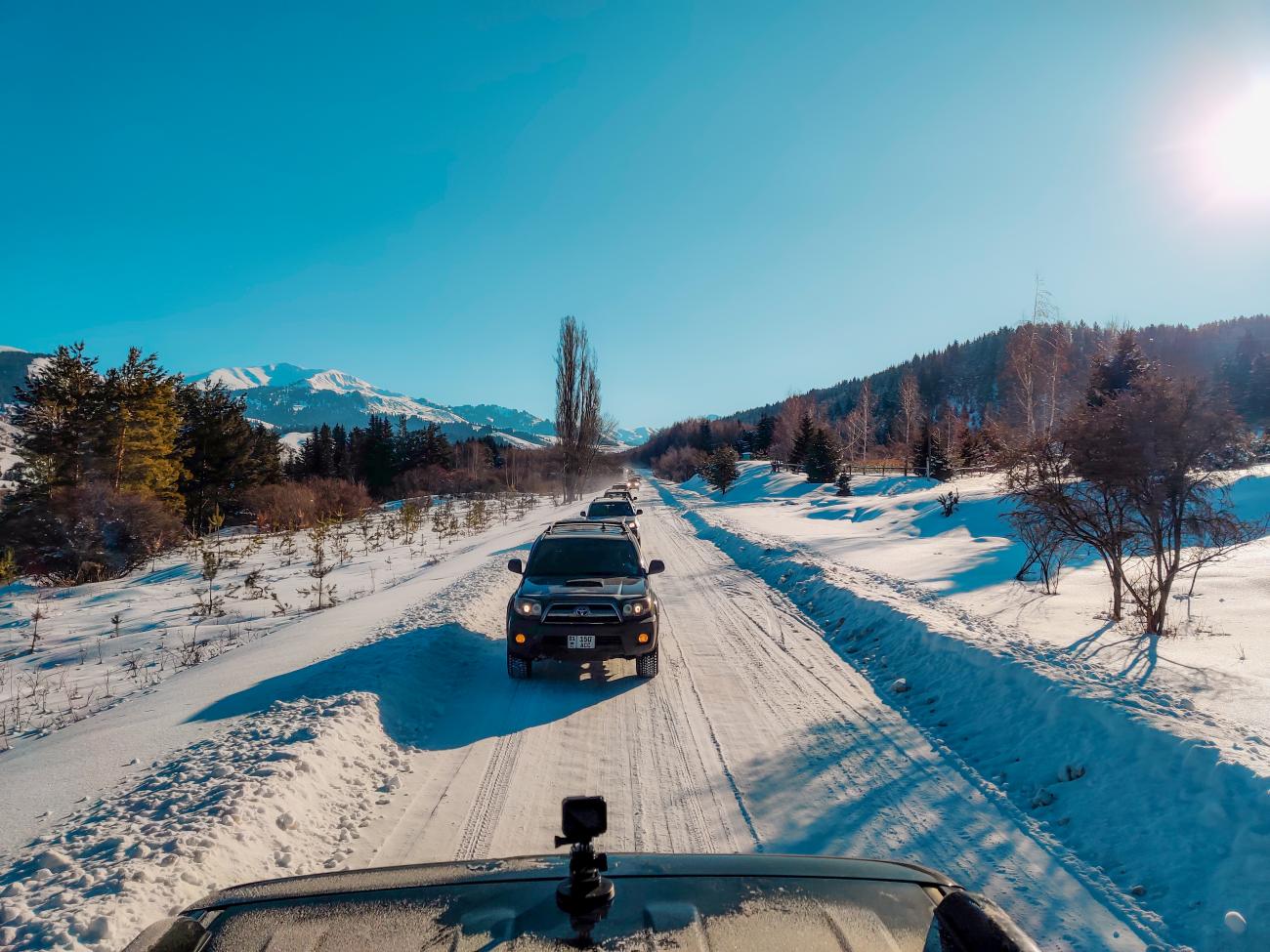 SUVs following each other on a snow-lined road through a winter forest with mountains in the sun
