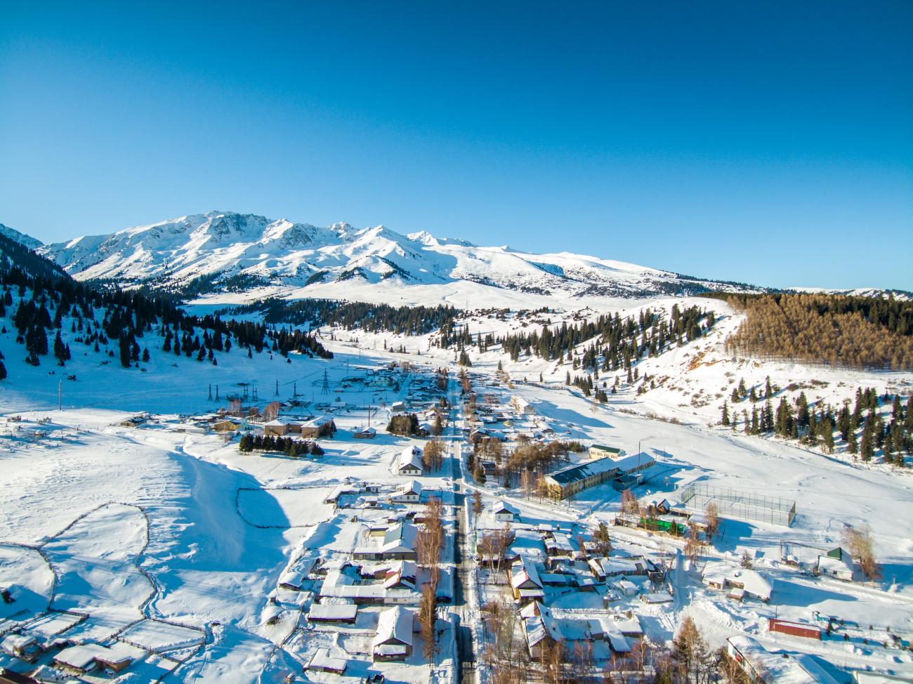 Aerial panorama of a Kyrgyz mountain village surrounded by snow-covered peaks and evergreen forests