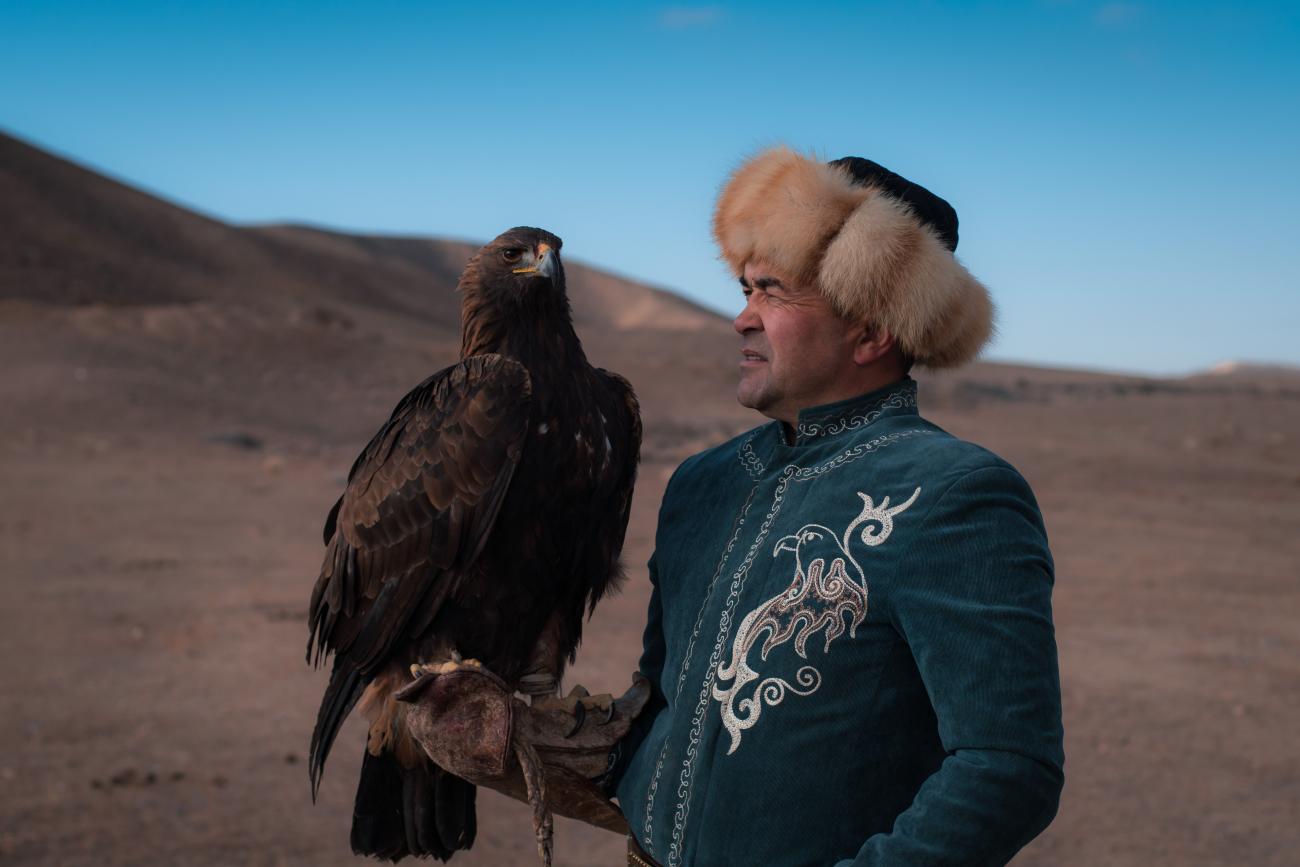 A Kyrgyz eagle hunter in an embroidered green coat gazing at his golden eagle perched on his gloved hand