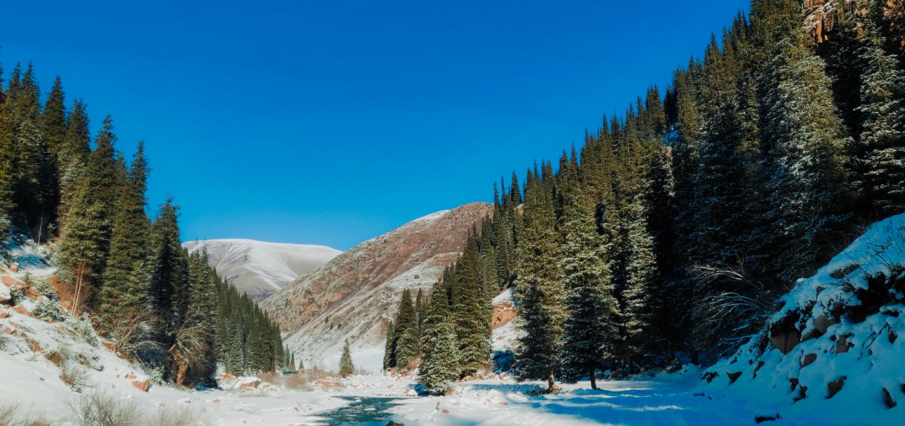 A frozen river winding through a snow-covered valley lined with tall evergreen trees in Kyrgyzstan