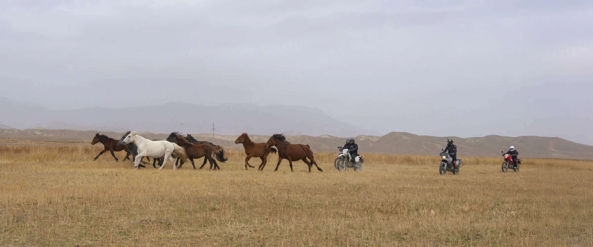 Group of riders on an open mountain road in Kyrgyzstan with distant mountains