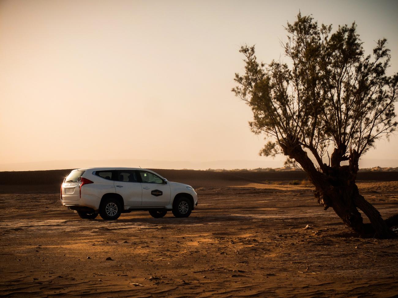 White SUV parked beside a lone tree in the Moroccan Sahara desert at sunset.