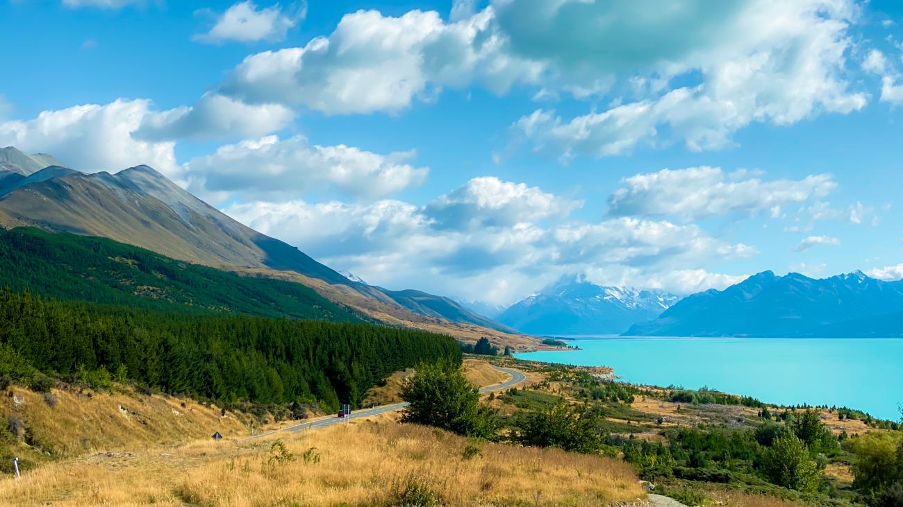 Winding road through pine forests alongside turquoise Lake Pukaki with Mount Cook and snow-capped peaks in the background.