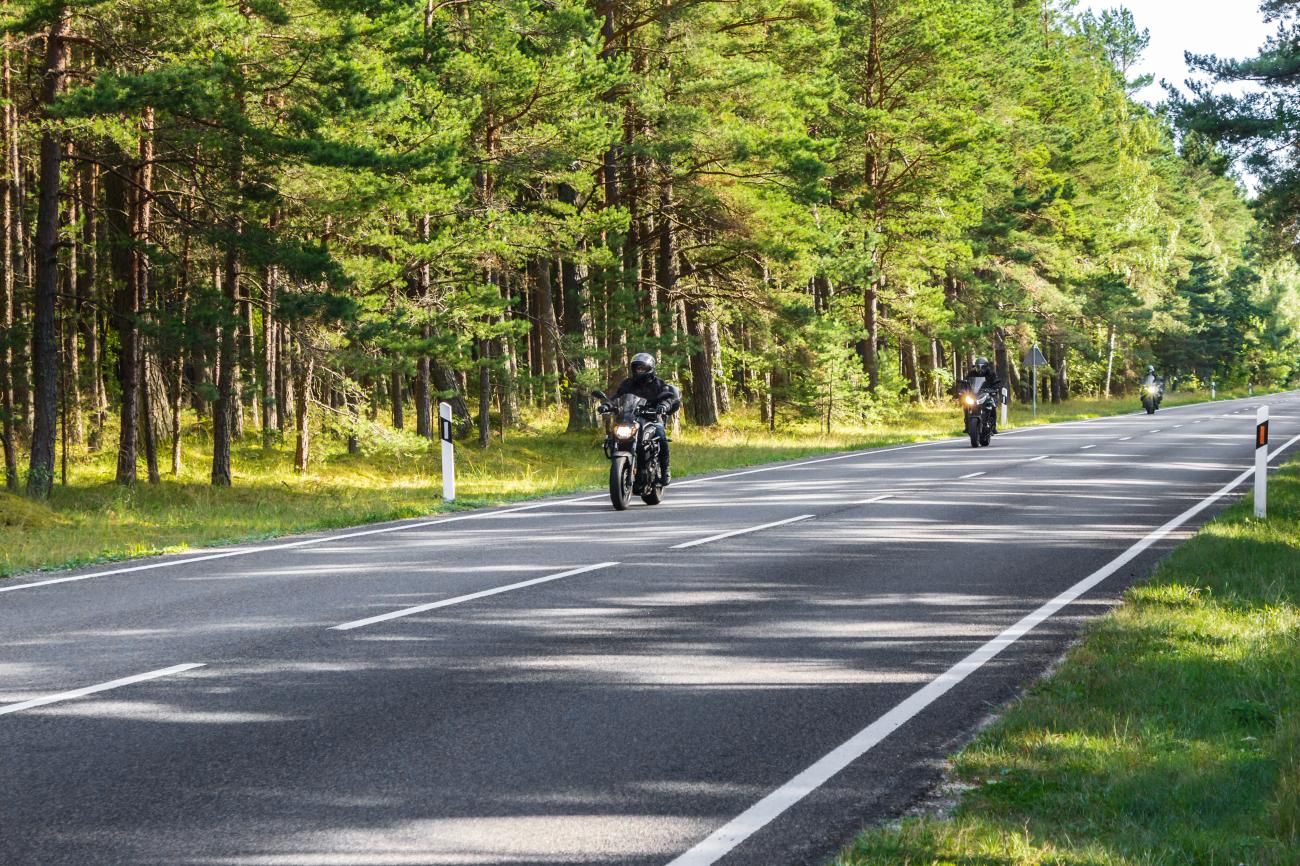 Motorcyclists riding through a sunlit pine forest road in the Baltic states.