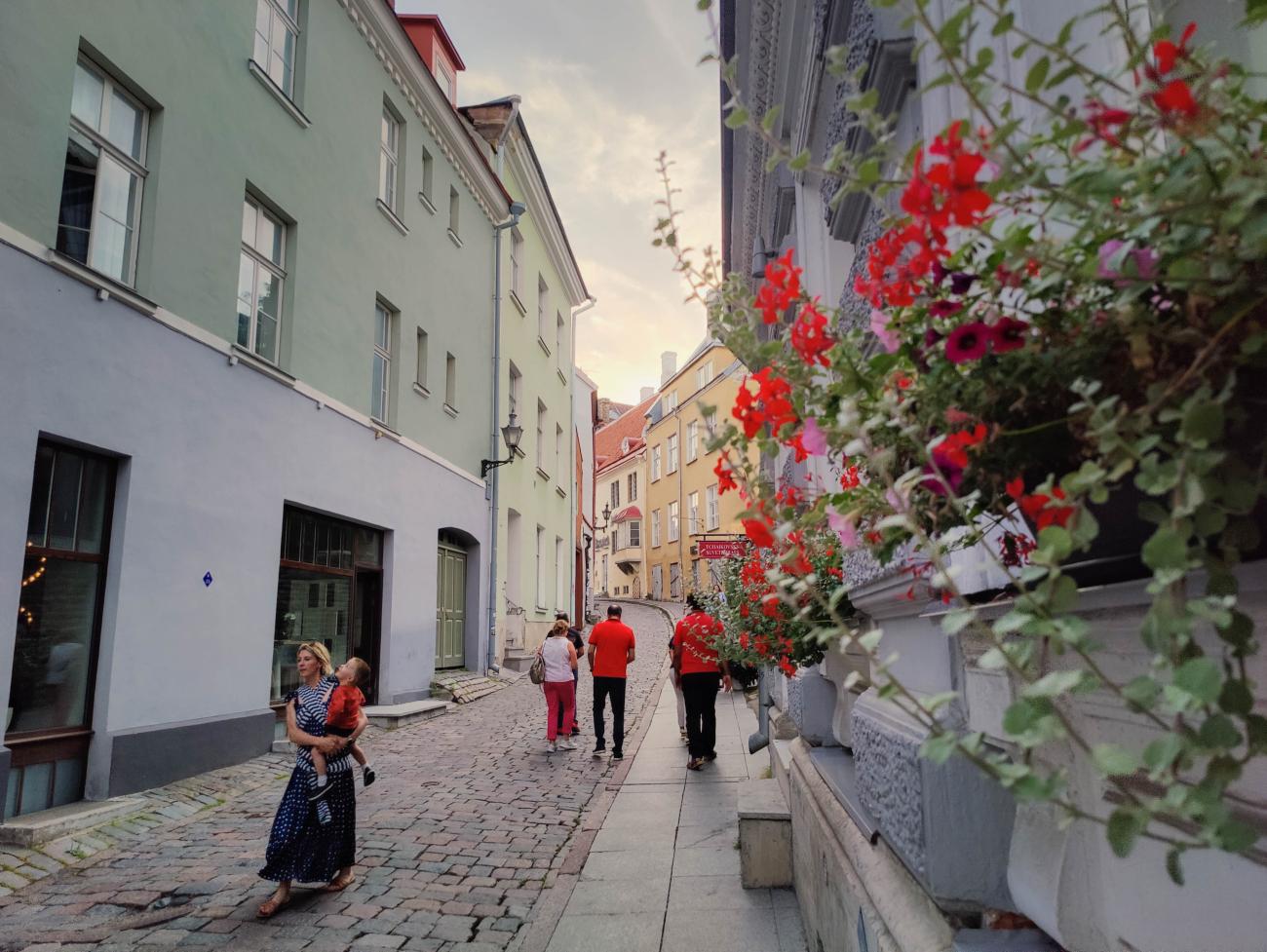 Charming cobblestone street with flower boxes in Tallinn Old Town, Estonia.