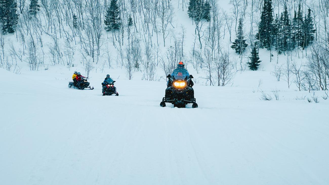 Snowmobiles approaching head-on through a snow-covered trail flanked by birch and spruce trees on a hillside.