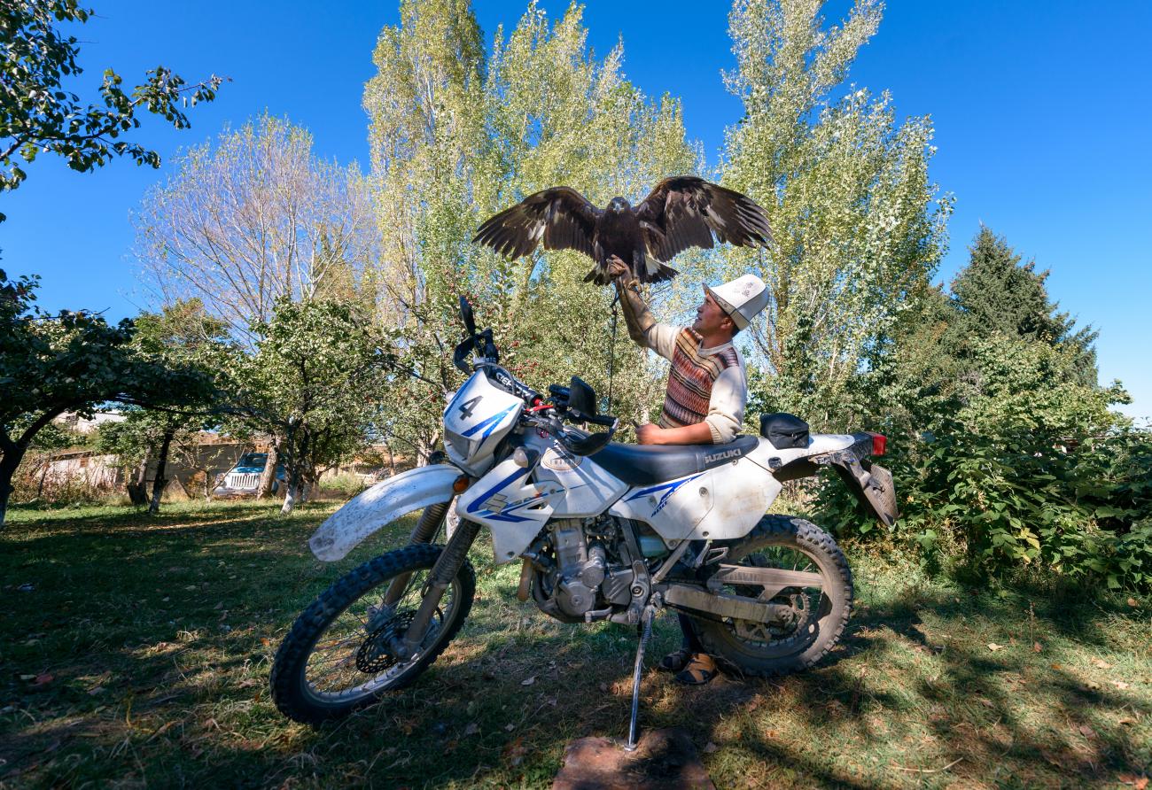 A Kyrgyz man holds a large eagle with outstretched wings beside an adventure motorcycle in a green village setting.