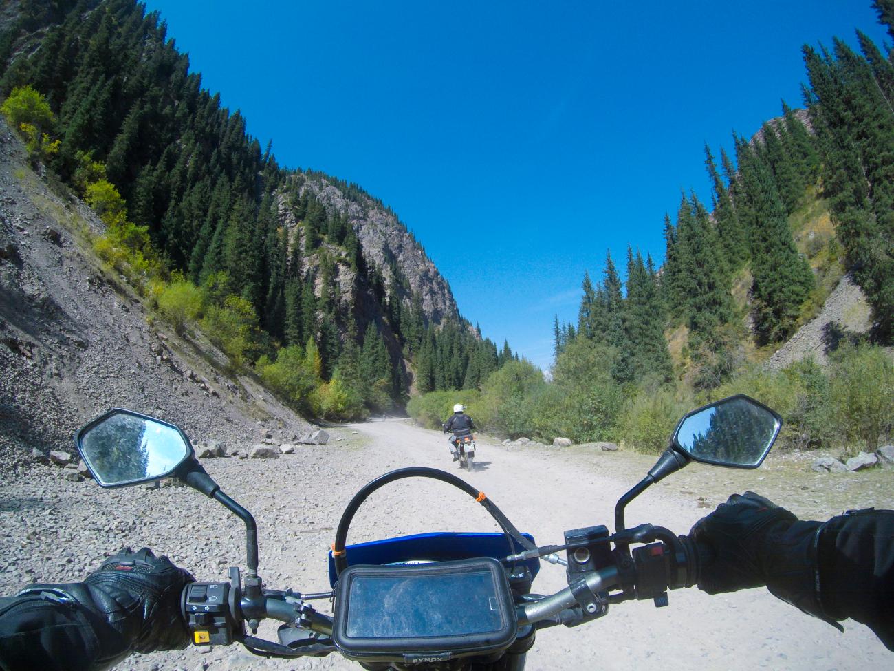 First-person view from the handlebars riding a rocky forest trail flanked by tall spruce trees in a Kyrgyz mountain valley.