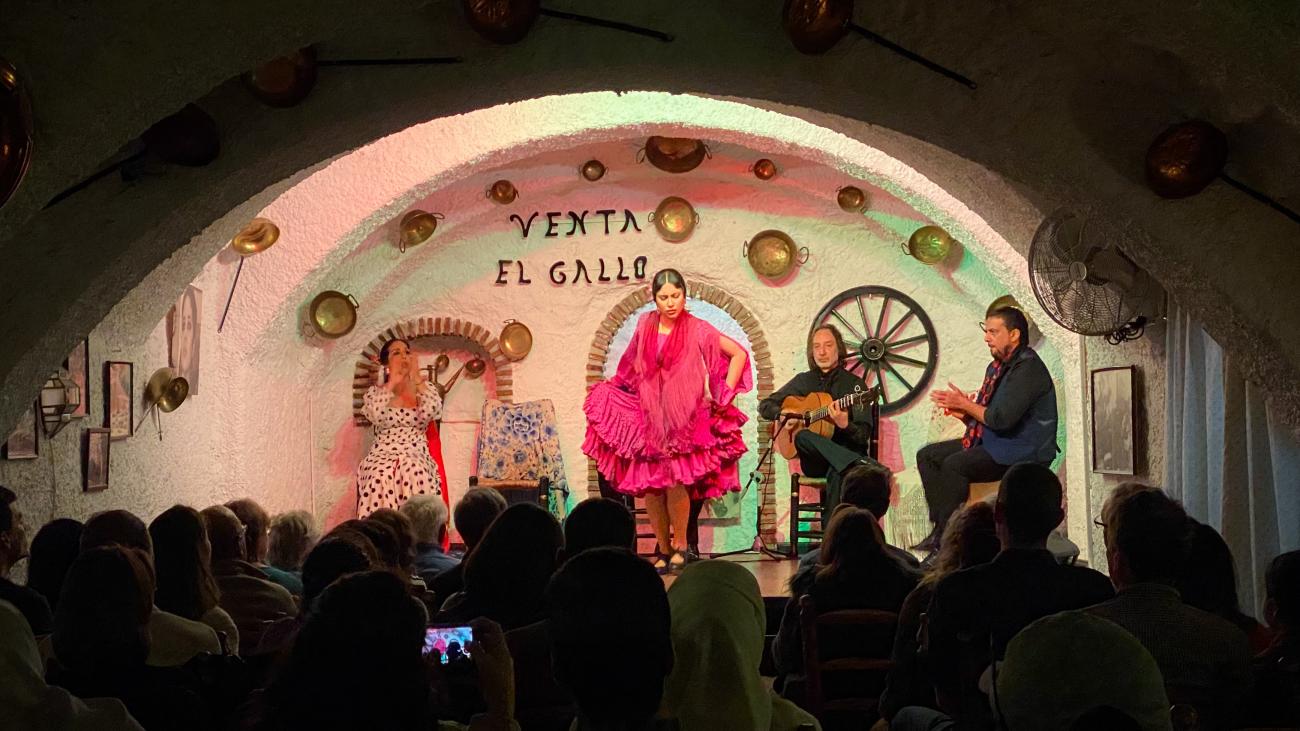 Flamenco dancer performing in a pink dress at the Venta El Gallo cave venue in Granada.