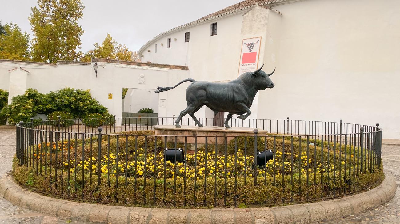 Bronze bull statue surrounded by yellow flowers outside the historic Plaza de Toros bullring in Ronda.